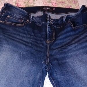 Torrid jeggings